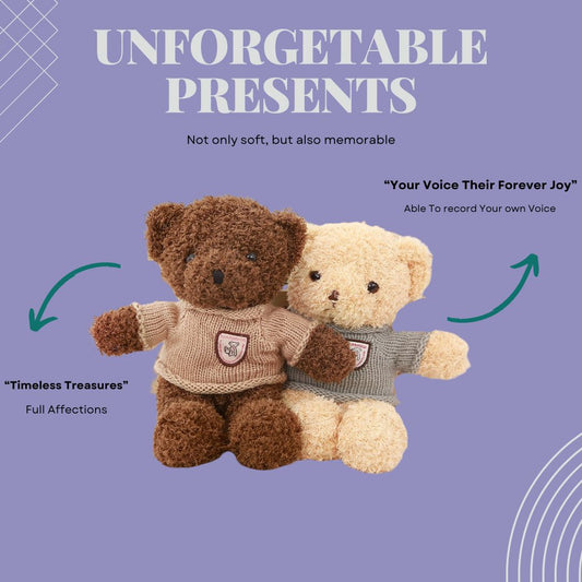 Audio Recordable Teddy Bear